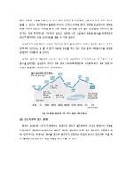 삼성전자와 애플의 경영전략 변화 비교-10
