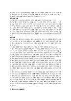 [인지발달]피아제의 인지발달이론에 대해 요약 설명하시오-2
