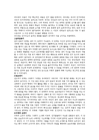 [인지발달]피아제의 인지발달이론에 대해 요약 설명하시오-3
