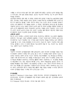 [인지발달]피아제의 인지발달이론에 대해 요약 설명하시오-4