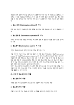 [인터넷 정보검색사][인터넷][정보검색사]인터넷 정보검색사의 개요, 인터넷 정보검색사의 현황, 인터넷 정보검색사의 기능, 인터넷 정보검색사의 역할, 인터넷 정보검색사의 자질, 인터넷 정보검색사의 자격요건-5