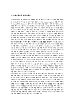 [스페인축제][성주간축제][메르세축제]스페인축제와 성주간축제, 스페인축제와 메르세축제, 스페인축제와 산페르민축제, 스페인축제와 카탈로니아축제, 스페인축제와 토마토축제, 스페인축제와 인간탑쌓기축제 분석-2
