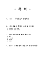 10대 경영전략을 통한 칠석고싸움놀이 육성방안-2