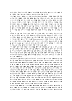 [민족관][독일인 민족관][중국인 민족관][한설야 민족관][금강산법문 민족관][독일인][중국인][한설야][금강산법문]독일인의 민족관, 중국인의 민족관, 한설야의 민족관, 금강산법문의 민족관 분석(민족관)-5