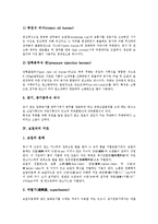 [보일러][보일러 원리][보일러 장치][보일러 구조][보일러 연료][보일러 관련 제언]보일러의 원리, 보일러의 장치, 보일러의 구조, 보일러의 연료, 보일러 관련 제언 분석(보일러, 보일러 원리, 보일러 장치, 연료)-5