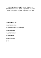[소설가][이름가르트 코인]소설가 이름가르트 코인, 소설가 알프레드 되블린, 소설가 엘프리데 옐리네크(엘프리데 옐리넥), 소설가 헤르만 헤세, 소설가 윌리엄 포크너, 소설가 요한 괴테, 소설가 마크 트웨인 분석-1