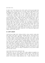 [인종][인종정체성][인종차별][인종문제][인종분쟁][남아공]인종과 인종정체성, 인종과 인종차별, 인종과 인종문제, 인종과 인종분쟁, 인종과 남아공(남아프리카공화국)인종차별, 인종과 소수인종방송국 분석(인종)-4