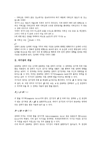 [자기장][자기장 개념][자기장 전자석][자기장 자기력][변위전류][자기이력곡선][지구자기장]자기장의 개념, 자기장의 전자석, 자기장의 자기력, 자기장과 변위전류, 자기장과 자기이력곡선, 자기장과 지구자기장-3