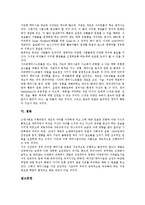 [사이버페미니즘(인터넷페미니즘)]사이버페미니즘(인터넷페미니즘)의 배경, 사이버페미니즘(인터넷페미니즘)의 공간, 사이버페미니즘(인터넷페미니즘)과 여성문제, 사이버페미니즘(인터넷페미니즘)과 정치적 전략-10