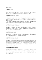 [사이버테러][인터넷테러][보안대책][사이버][테러][사이버테러 유형]사이버테러(인터넷테러)의 정의, 사이버테러(인터넷테러)의 현황, 사이버테러(인터넷테러)의 유형, 사이버테러(인터넷테러)의 보안대책 분석-5