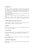 [사이버테러][인터넷테러][보안대책][사이버][테러][사이버테러 유형]사이버테러(인터넷테러)의 정의, 사이버테러(인터넷테러)의 현황, 사이버테러(인터넷테러)의 유형, 사이버테러(인터넷테러)의 보안대책 분석-6