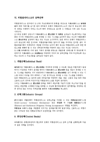 [외환결제리스크][외환결제][결제리스크][감축전략][외국환은행][감축]외환결제리스크의 정의, 외환결제리스크의 노출시간, 외환결제리스크의 성격, 외환결제리스크의 현황, 외환결제리스크의 감축전략 분석-8