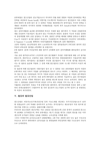 [철강][철강 분류][철강 제조공정][철강 전자거래][철강산업][철강기업][수출입현황]철강의 분류, 철강의 제조공정, 철강의 전자거래, 철강과 철강산업, 철강과 철강기업, 철강의 수출입현황, 철강의 수요전망 분석-6