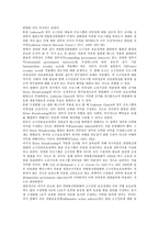 [공정이용][소수인종보호정책]공정이용, 소수인종보호정책의 법적 연구, 청소년이용성표현물, 기관투자자의 법적 연구, 소비자의견사이트, 알권리의 법적 연구, 단체교섭의 법적 연구, 구속영장심사제도의 법적 연구-7