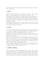 [경쟁력제고]관광기념품의 경쟁력제고, 고용형태의 경쟁력제고, 예산회계의 경쟁력제고, 인사행정의 경쟁력제고, 전자정부의 경쟁력제고, 은행의 경쟁력제고, 공영방송의 경쟁력제고, 교직의 경쟁력제고 분석-17