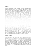 [관습법][관습법 정의][법적 구속력][법적 성질][관습법 효력][법정지상권][규범통제][관습][관행]관습법의 정의, 관습법의 법적 구속력, 관습법의 법적 성질, 관습법의 효력 분석(관습법, 관습법 정의,법적 구속력)-6