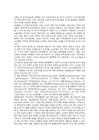 [대표관료제][대표관료제 정의][대표관료제 채택][대표관료제 발전][대표관료제 가치][대표관료제 문제점]대표관료제의 정의, 대표관료제의 채택, 대표관료제의 발전, 대표관료제의 가치, 대표관료제의 문제점 분석-13