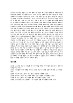 [노동시장구조][내부노동시장][청년층노동시장][여성빈곤]노동시장구조와 내부노동시장, 노동시장구조와 청년층노동시장, 노동시장구조와 비정규직노동시장, 노동시장구조와 기업, 노동시장구조와 여성빈곤 분석-8
