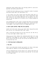 미국IT(정보기술)와 국세청(IRS), 미국IT(정보기술)와 IT아웃소싱(정보기술아웃소싱), 미국IT(정보기술)와 IT프로젝트(정보기술프로젝트), 미국IT(정보기술)와 근대화프로젝트, 미국IT(정보기술)와 시장전망 분석-7