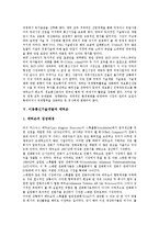 [이동통신기술개발][일본][유럽연합][EU][한일기술정책][에릭손]이동통신기술개발과 일본, 이동통신기술개발과 유럽연합(EU), 이동통신기술개발과 한일기술정책, 이동통신기술개발과 에릭손(이동통신기술개발)-10