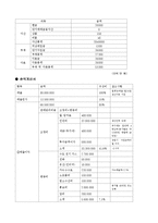 [사업계획서] 악세사리 제조판매 전문업체 창업 사업계획서-13