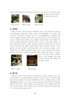 사찰의 구조 - 절집의 구조와 조형물-2