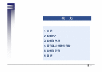 [중국경제]중국경제의 수도, 상해-2
