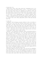 [언론의자유]미국헌법에 있어서 언론의 자유에 대한 접근방법-3