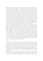 [언론의자유]미국헌법에 있어서 언론의 자유에 대한 접근방법-5