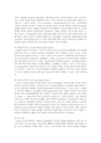 [언론의자유]미국헌법에 있어서 언론의 자유에 대한 접근방법-8