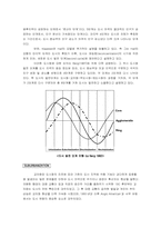 [도시화론]도시화 4단계 발전에 대하여-2