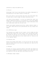 [섬유]면섬유에 대해-6