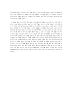 화씨 9/11 레포트-3