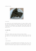 [중국언어] 중국의 명절 속에서 살펴본 언어문화-9