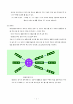 [기기분석] 원자흡광광도법(AAS)-13