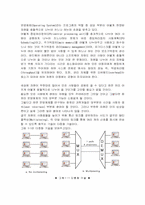 다중화기술 레포트-3