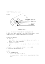 정보통신의 기본개념-10