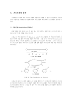 프로토콜 레포트-11