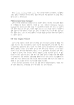 프로토콜 레포트-17