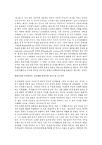 [불교][불교적 상상력][불교적 진리판별][불교적 역사의식][불교적 사생관][불교적 청소년][상상력][진리판별][역사의식]불교적 상상력, 불교적 진리판별, 불교적 역사의식, 불교적 사생관, 불교적 청소년 분석-2