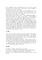 [일본불교][일본불교 역사][일본불교 사상][일본불교 포교][일본불교와 민족주의][민주주의]일본불교의 역사, 일본불교의 사상, 일본불교의 포교, 일본불교와 민족주의 분석(일본불교, 일본불교 역사,일본불교 사상)-8