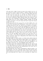 [일본선거][일본선거와 선거제도][일본선거와 선거구][일본선거와 중의원선거][일본선거와 인터넷선거운동]일본선거와 선거제도, 일본선거와 선거구, 일본선거와 중의원선거, 일본선거와 인터넷선거운동 분석-2