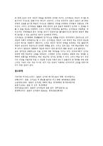 [일본선거][일본선거와 선거제도][일본선거와 선거구][일본선거와 중의원선거][일본선거와 인터넷선거운동]일본선거와 선거제도, 일본선거와 선거구, 일본선거와 중의원선거, 일본선거와 인터넷선거운동 분석-8