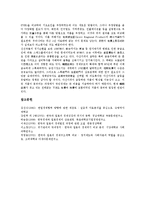 [한일경제][한국 일본 경제][발전패턴][발전조건]한일경제(한국 일본 경제)의 발전패턴, 한일경제(한국 일본 경제)의 발전조건, 한일경제(한국 일본 경제)의 발전과정, 한일경제(한국 일본 경제)의 공통점 분석-11