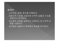수학교육학신론-미국의수학과교육과정PPT-13