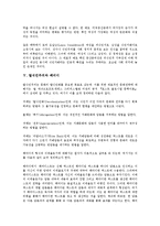 [탈식민주의][탈식민주의와 탈식민주의론][탈식민주의와 문학비평][탈식민주의와 페미니즘][패러디]탈식민주의와 탈식민주의론, 탈식민주의와 문학비평, 탈식민주의와 페미니즘, 탈식민주의와 패러디 분석-6