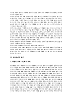[관료부패][관료부패 기능][관료부패 원인][관료부패 연속적 구조][관료부패 경제적 해석]관료부패의 기능, 관료부패의 원인, 관료부패의 연속적 구조, 관료부패의 경제적 해석 분석(관료부패, 관료부패 기능)-5