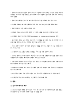 [금융산업(금융업)][비정규직확산]금융산업(금융업)의 변화, 금융산업(금융업)의 비정규직확산, 금융산업(금융업)의 전략, 금융산업(금융업)의 외국사례, 금융산업(금융업)의 발전방안 분석(금융산업(금융업))-9