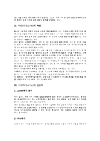 [북한IT(정보기술)][북한IT(정보기술) 육성][북한IT(정보기술) 인프라][북한IT(정보기술) 발전정책]북한IT(정보기술)의 육성, 북한IT(정보기술)의 인프라, 북한IT(정보기술)의 현황, 북한IT(정보기술)의 발전정책-3