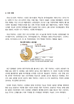 강글리오커피 마케팅실패 사례분석및 실패극복위한 마케팅전략 제안-4
